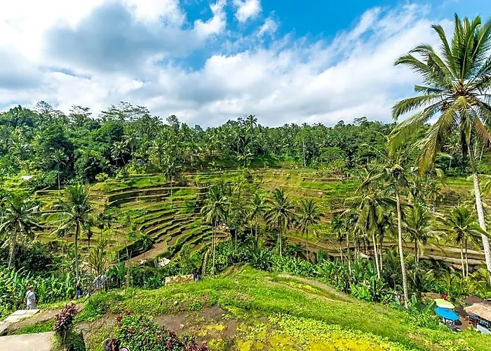 Zilla Ubud バリ島